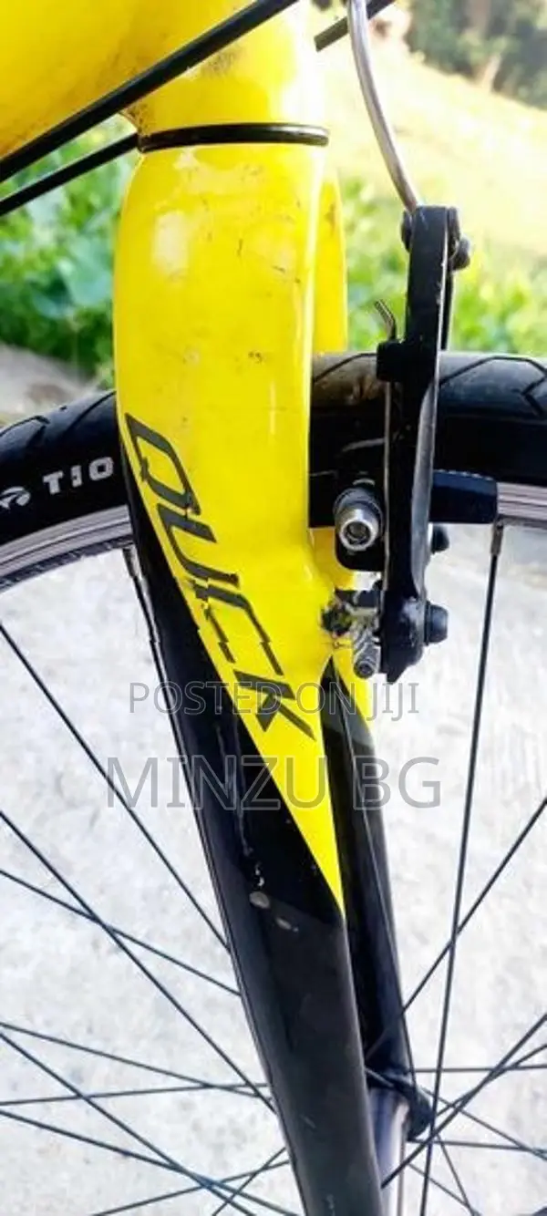 Cannondale Bicycle