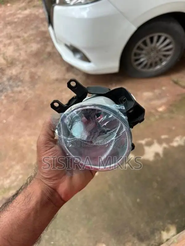 Fog Light