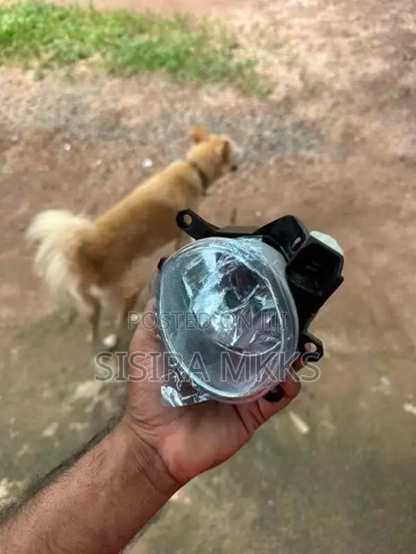 Fog Light