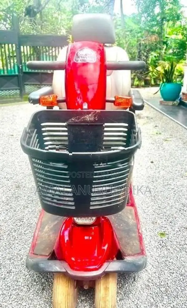 Minnelli Electric Bike 2016