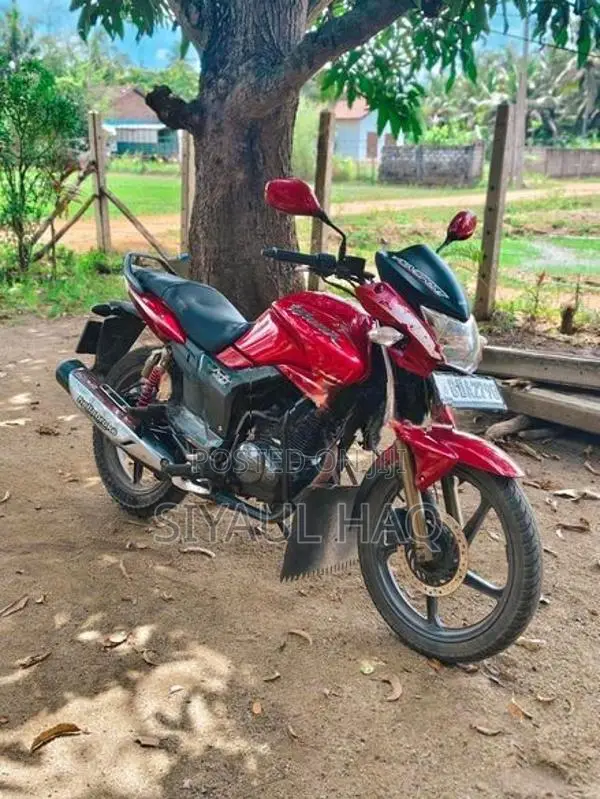 Hero Hunk 160R 2016