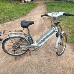 Electric Bicycle