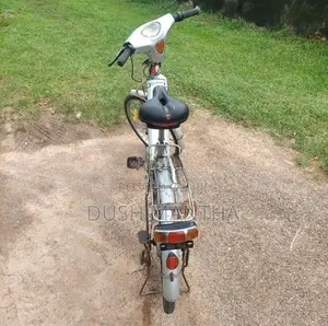 Electric Bicycle