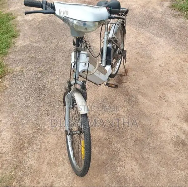Electric Bicycle