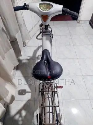 Electric Bicycle