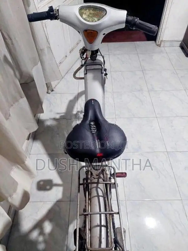Electric Bicycle