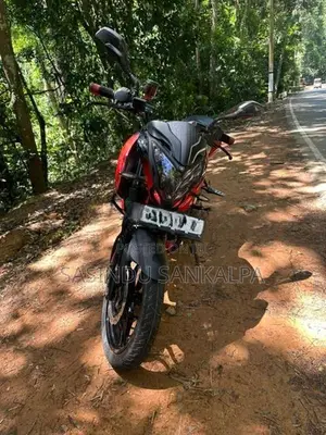Bajaj Pulsar NS160 2017