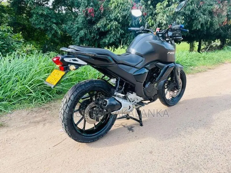 Yamaha FZS V3 2019