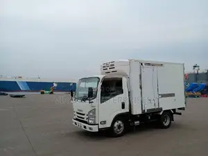 Isuzu Elf freezer Truck 2021