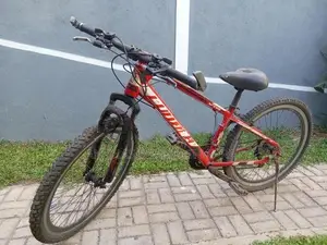 Lumala Bicycle
