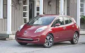 Nissan Leaf side mirror