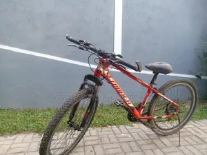 Lumala Bicycle