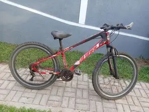 Lumala Bicycle