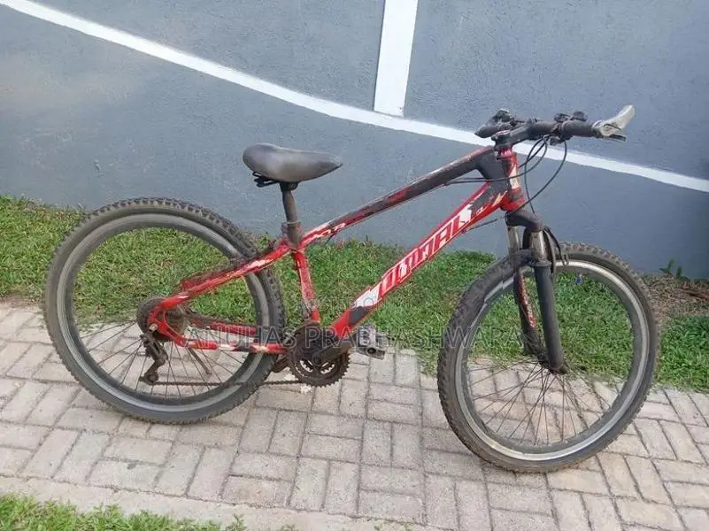 Lumala Bicycle