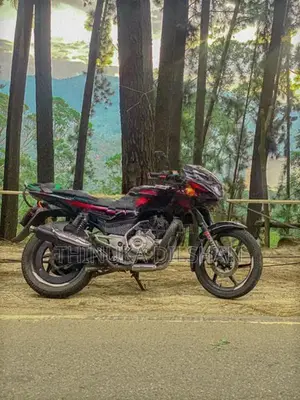 Bajaj Pulsar 150 pulser 2015