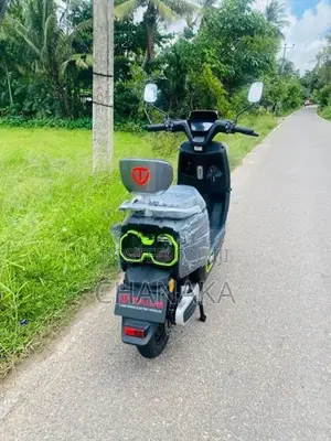 Tailg Redrabbit 2025