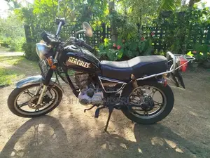 Suzuki GN 125 HERCULES 2007