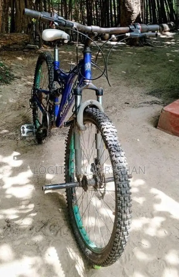 King Star Bicycle