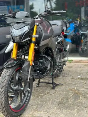 Hero Hunk 160R Brand New 2026