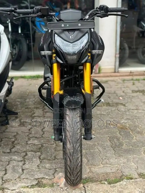 Hero Hunk 160R Brand New 2026