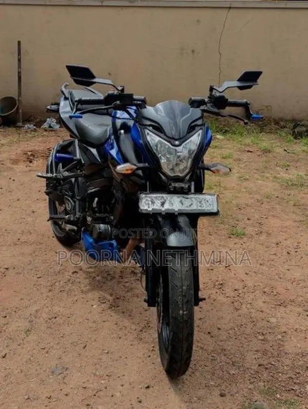 Bajaj Pulsar NS160 2019