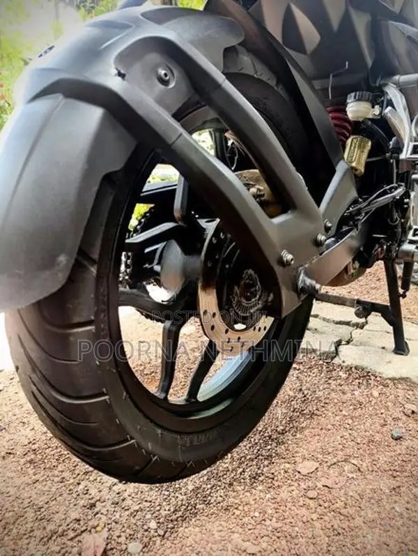 Bajaj Pulsar NS160 2019