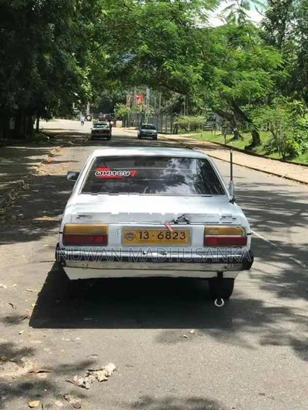Nissan Sunny White 1984