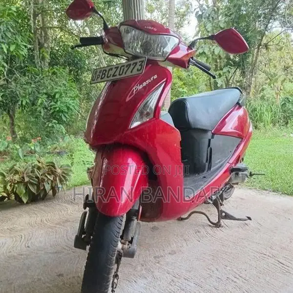 Hero Pleasure 2015
