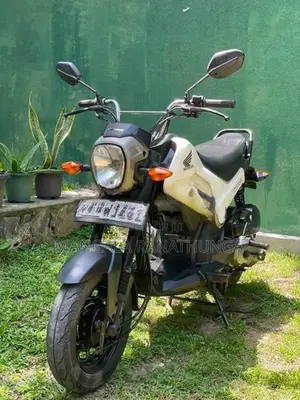 Honda Navi Onlight 2017