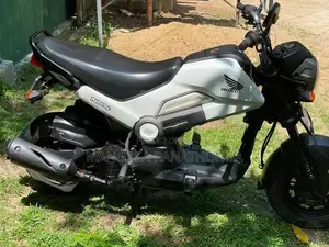 Honda Navi Onlight 2017