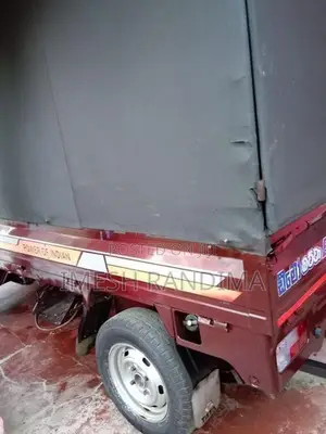 Tata Ace 2013