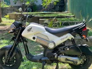 Honda Navi Onlight 2017