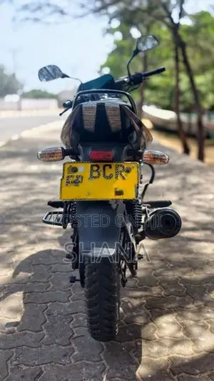 Bajaj Pulsar 150 2015