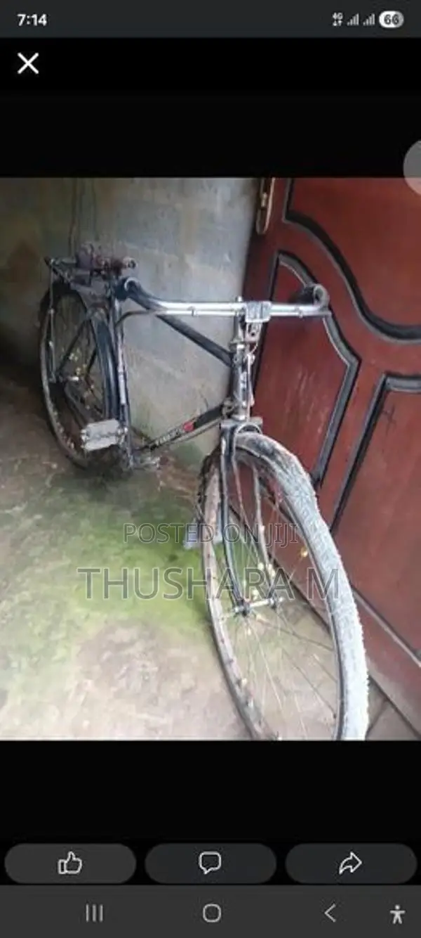 පාපැදිය