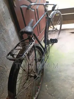 පාපැදිය