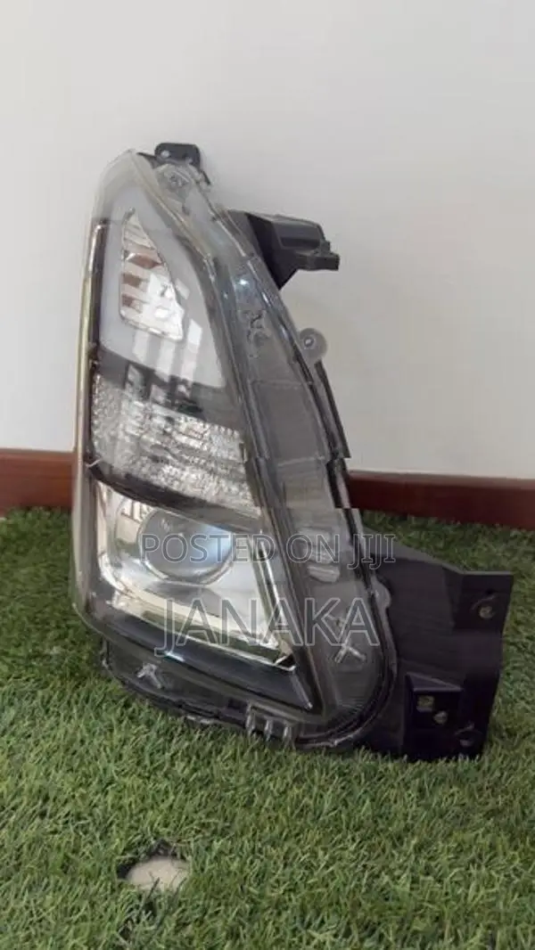 Stingray headlights
