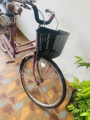 Bicycle