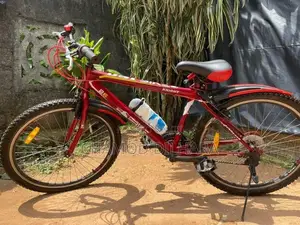 DSI Foot bicycle