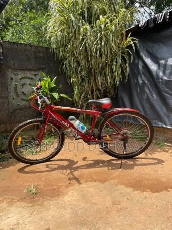 DSI Foot bicycle