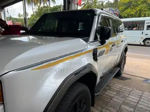 Prado 250 Body sticker