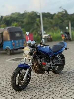Suzuki Bandit 45HP 2008