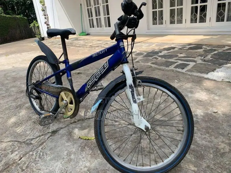 Japan Bicycle for kid