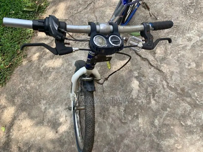 Japan Bicycle for kid