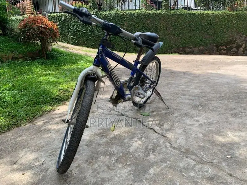 Japan Bicycle for kid