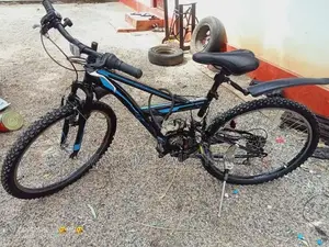 Mountain Bicycle