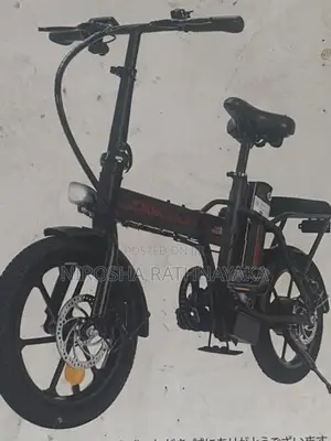 Electric Bicycle