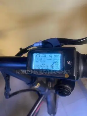 Electric Bicycle
