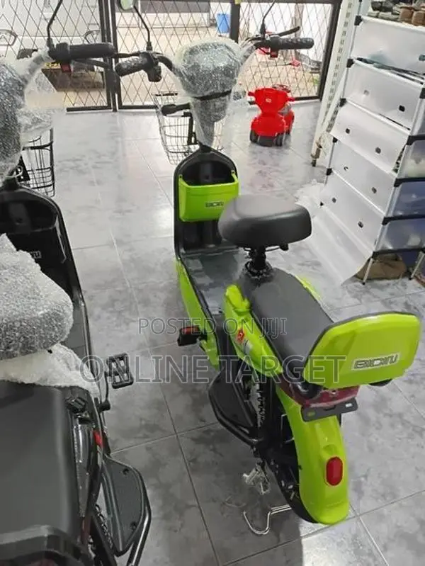 Electric Bike 2025
