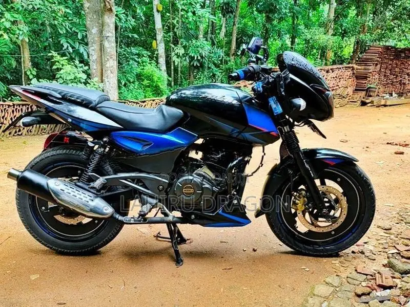 Bajaj Pulsar 150 Twin disc 2018
