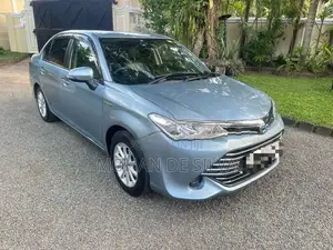 Toyota Axio X 2016